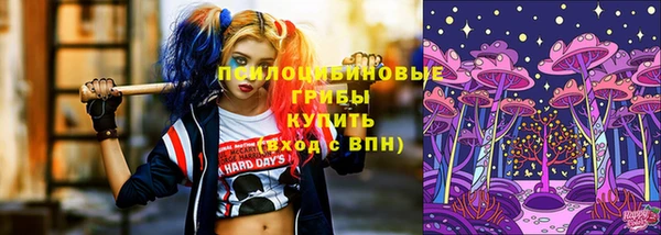 a pvp Алзамай