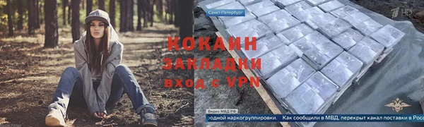 a pvp Алзамай