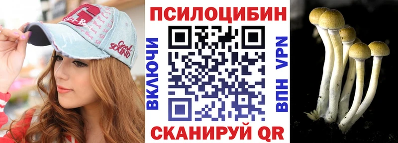Галлюциногенные грибы Psilocybe  Суджа 
